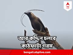 West Bengal Weather : আর কত বাড়বে শহরের তাপমাত্রা, পয়লা বৈশাখেই জানিয়ে দিল আবহাওয়া দফতর