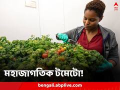 মহাজাগতিক টমেটো চেখে দেখবেন বিজ্ঞানীরা, মহাশূন্যে ফলানো ফসলের ঝাঁপি আজই পৌঁছচ্ছে পৃথিবীতে