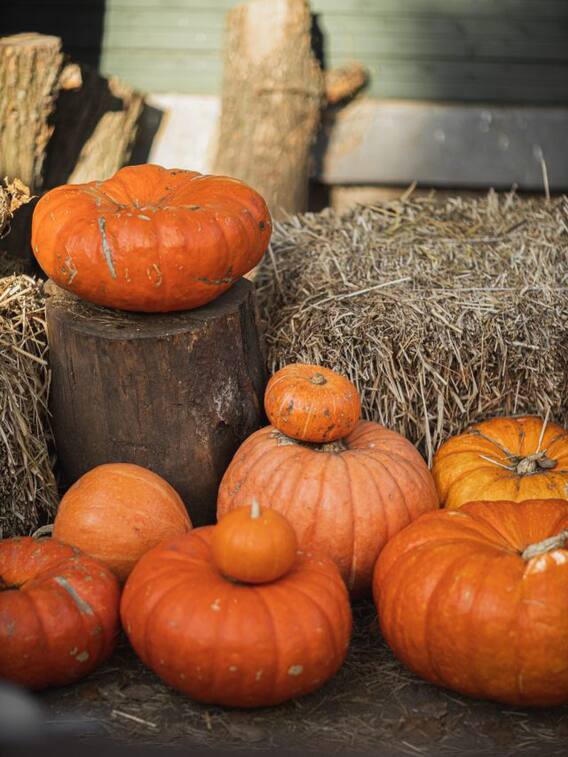 यूरिक एसिड बढ़ा रहा है आपका टेंशन? डाइट में इस सब्जी को करें शामिल