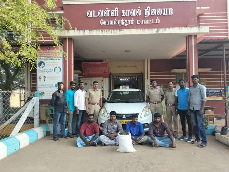 Police arrested 6 people for selling ganja in Coimbatore Crime : படுஜோராக நடந்த கஞ்சா விற்பனை... கோவையில் 6 பேர் கைது.. 11 கிலோ கஞ்சா பறிமுதல்!