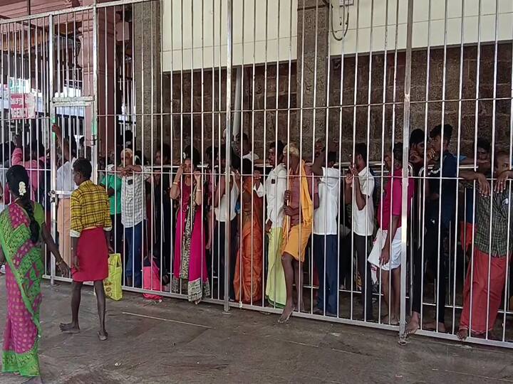 Palani Temple  Vishvarupa darshan for devotees of Tamil God Palani Murugan on Tamil New Year TNN Palani Temple: தமிழ் புத்தாண்டு அன்று தமிழ் கடவுள் பழனி முருகன் பக்தர்களுக்கு விஸ்வரூப தரிசனம்