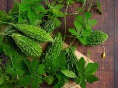 ਕਰੇਲੇ ਦੇ ਨਾਲ ਕਦੇ ਨਾ ਖਾਓ ਇਹ ਚੀਜ਼ਾਂ, ਸਰੀਰ ਨੂੰ ਲੱਗ ਸਕਦੀਆਂ ਗੰਭੀਰ ਬਿਮਾਰੀਆਂ