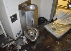 जेल में जिंदा शख्स को काट-काटकर खा गए खटमल, पढ़िए हैरान करने वाली कहानी