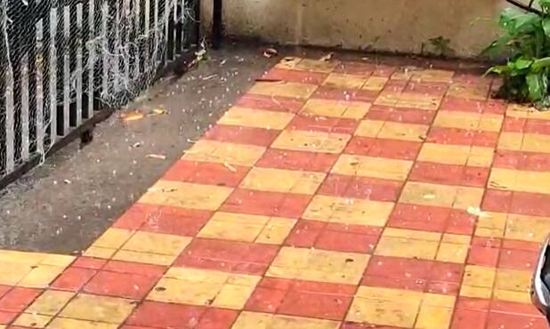 सकाळी ऊन, रात्री गारठा आणि संध्याकाळी पाऊस पडत असल्याने अनेकांच्या प्रकृतीवर परिणाम झाल्याचं दिसून आलं आहे.