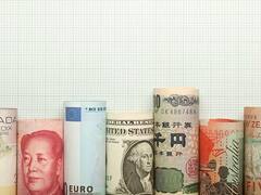 विनिमय दरों की नई व्यवस्था पर हो रहा है काम, जल्द ही मिलने लगेगा डेली अपडेट