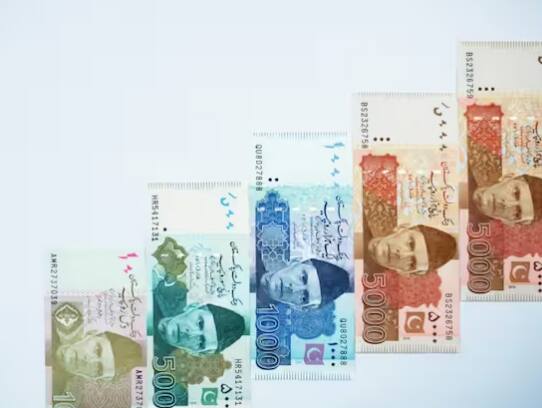 ਉੱਥੇ ਹੀ ਸਾਲ 2014 ਵਿੱਚ ਪਾਕਿਸਤਾਨੀ ਰੁਪਏ ਦੇ ਮੁਕਾਬਲੇ ਇੱਕ ਡਾਲਰ ਦੀ ਕੀਮਤ 103 ਰੁਪਏ ਸੀ, ਜੋ ਕਿ 2013 ਦੇ ਮੁਕਾਬਲੇ ਸਿਰਫ਼ 4 ਰੁਪਏ ਘੱਟ ਸੀ।