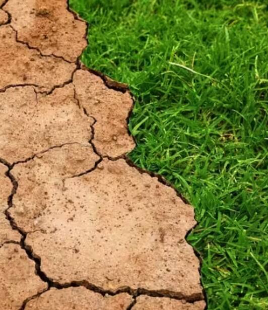 ਕੀ ਦੇਸ਼ ਵਿੱਚ ਸੋਕੇ ਦਾ ਖ਼ਤਰਾ ਹੈ?