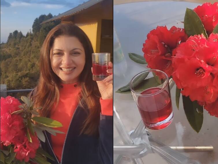 Bhagyashree shares the many health benefits of this ‘beautiful flower’ Buransh flower: மருத்துவ குணங்கள் நிறைந்த புரான்ஷ் மலர் ஜூஸ்; பிரபல நடிகை பாக்யஸ்ரீ பகிர்ந்த டிப்ஸ்! இதைப் படிங்க!