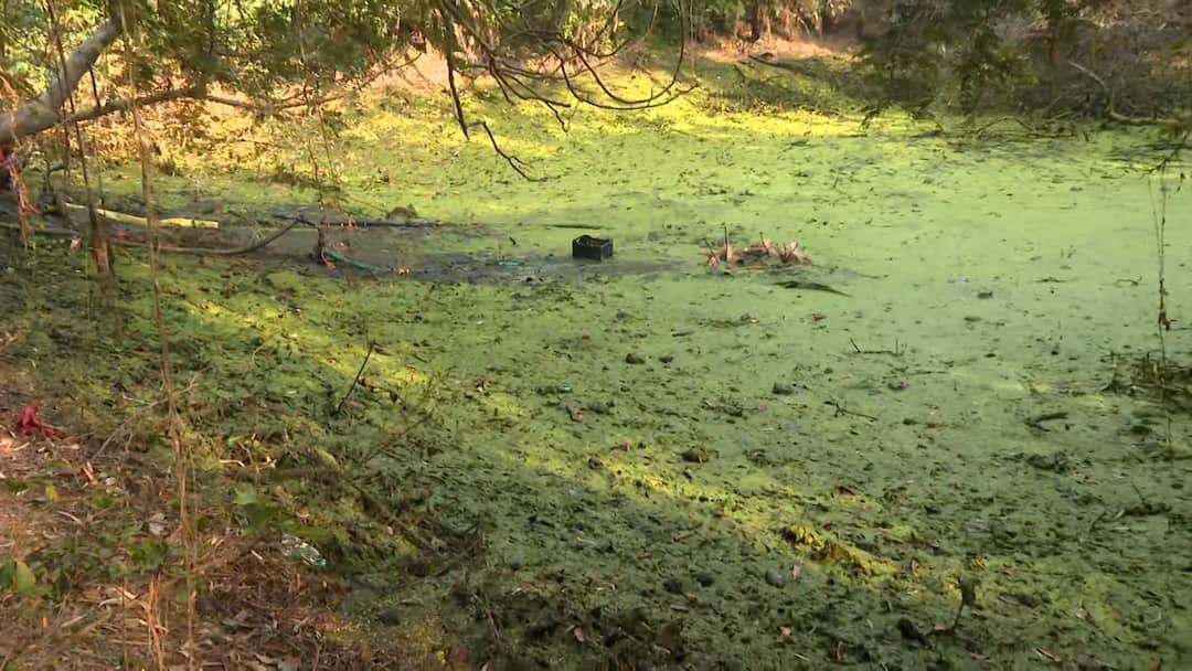 Murshidabad News: সিবিআই দেখে পুকুরে ফোন ছুড়ে ফেললেন বিধায়ক, টানা তল্লাশিতেও মিলল না হদিশ Murshidabad The MLA threw the phone in the pond after seeing the CBI, no trace was found even after extensive searches Murshidabad News: সিবিআই দেখে পুকুরে ফোন ছুড়ে ফেললেন বিধায়ক, টানা তল্লাশিতেও মিলল না হদিশ