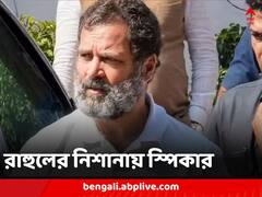 ‘আদানি ইস্যুতে ভীত স্পিকার, চা পানে ডেকেছিলেন’, ফের আক্রমণে রাহুল