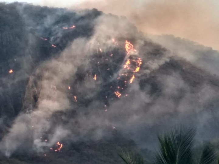 Coimbatore Fire: கோவையில் காட்டுத்தீயை கட்டுப்படுத்த வரவழைக்கப்பட்ட ஹெலிகாப்டர்...! தீயை அணைக்கும் பணிகள் தீவிரம்!