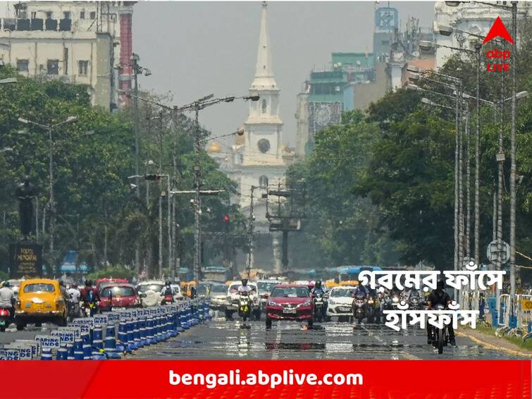 Bengal Weather Update : Dry weather will prevail today, is there any possibility of rain Weather Update : ফের দাপট দেখাবে শুষ্ক আবহাওয়া, বৃষ্টির সম্ভাবনা কি আছে ?