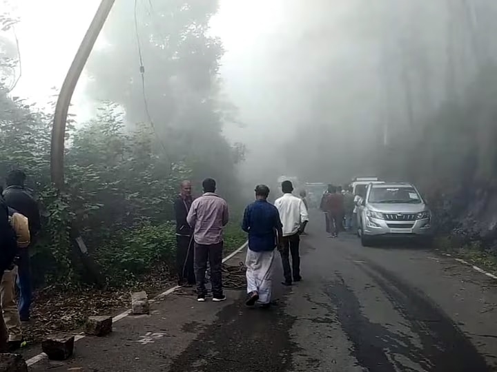 தொடர் விடுமுறையில் ’குளு குளு’ கொண்டாட்டம்..கொடைக்கானலில் குவியும் சுற்றுலா பயணிகள்..!