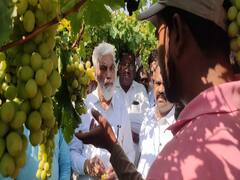 Nashik : पालकमंत्री दादा भुसे आज पाहणी दौऱ्यावर, दिंडोरी भागात अवकाळी पावसाचा कहर