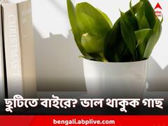 Plant Care Tips: ঘুরতে যাচ্ছেন? বাড়ির গাছগুলি ভাল থাকবে কীভাবে? দেখুন খুঁটিনাটি