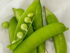 Peas Peel: ਮਟਰ ਦੇ ਛਿਲਕਿਆਂ ਨੂੰ ਨਾ ਸੁੱਟੋ, ਬਣਾ ਲਓ ਇਹ ਟੇਸਟੀ ਚੀਜ਼, ਇਸ ਨੂੰ ਖਾਣ ਨਾਲ ਕਈ ਬਿਮਾਰੀਆਂ ਹੋ ਸਕਦੀਆਂ ਹਨ ਦੂਰ