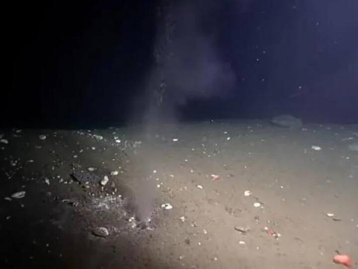 Leak in Pacific Ocean in fault lines Scientists warn of earthquake on earth प्रशांत महासागर के तल में हुए छेद, हो रहा रिसाव... धरती पर मंडरा रहा भूकंप का खतरा