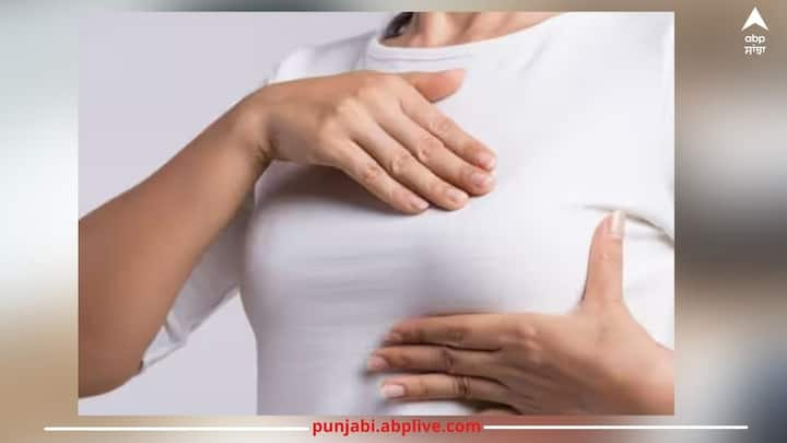 Breast Cancer: ਹੋਰ ਬਿਮਾਰੀਆਂ ਵਾਂਗ ਬ੍ਰੈਸਟ ਕੈਂਸਰ ਦੇ ਕਈ ਲੱਛਣ ਵੀ ਸਰੀਰ 'ਚ ਦੇਖਣ ਨੂੰ ਮਿਲਦੇ ਹਨ, ਜਿਨ੍ਹਾਂ ਨੂੰ ਨਜ਼ਰਅੰਦਾਜ਼ ਕਰਨਾ ਜਾਨਲੇਵਾ ਸਾਬਤ ਹੋ ਸਕਦਾ ਹੈ।