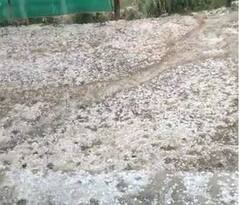 Rain: राज्यात विविध भागात अवकाळी पावसाचा तडाखा