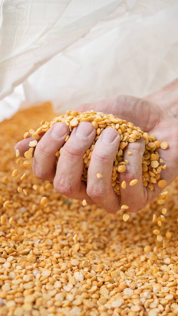 डाळींना महागाईची फोडणी, डाळींच्या किंमतीत 10 टक्क्यांची वाढ