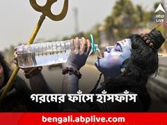 রবির তেজে আরও বাড়বে শুকনো গরমের দাপট, আজও বইবে লু?