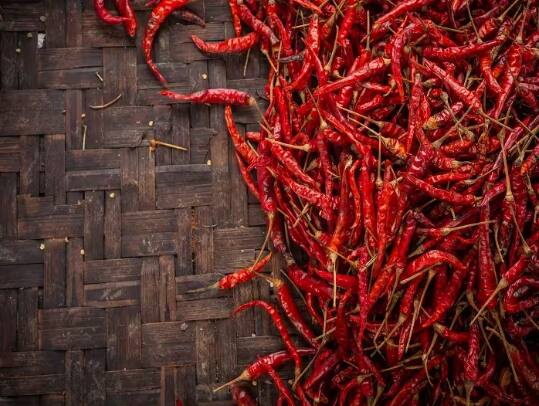 red-chillies-price-have-become-hike-cause-of-rain Red Chilli: ਲਾਲ ਮਿਰਚ ‘ਤੇ ਮਹਿੰਗਾਈ ਦਾ ‘ਤੜਕਾ’, ਕੀਮਤ 800 ਰੁਪਏ ਤੋਂ ਪਾਰ, ਵਿਗੜਿਆ ਰਸੋਈ ਦਾ ਬਜਟ