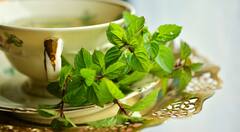 Lifestyle:গরমকালে খাবারে থাকুক এই Herbs