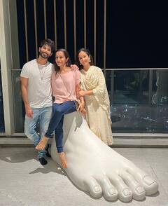 Shahid Kapoor House Pics: बेहद आलीशान है शाहिद कपूर और मीरा राजपूत का ये करोड़ों का घर, ये इनसाइड तस्वीरें हैं पक्का सबूत