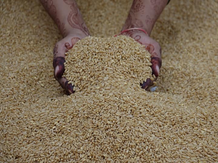 Wheat procurement has been started in Haryana know here Wheat Procurement: गेहूं खरीद के बाद 72 घंटे में भेजा 933 करोड़ रुपये, खाते में पैसा देख खुश हुए किसान