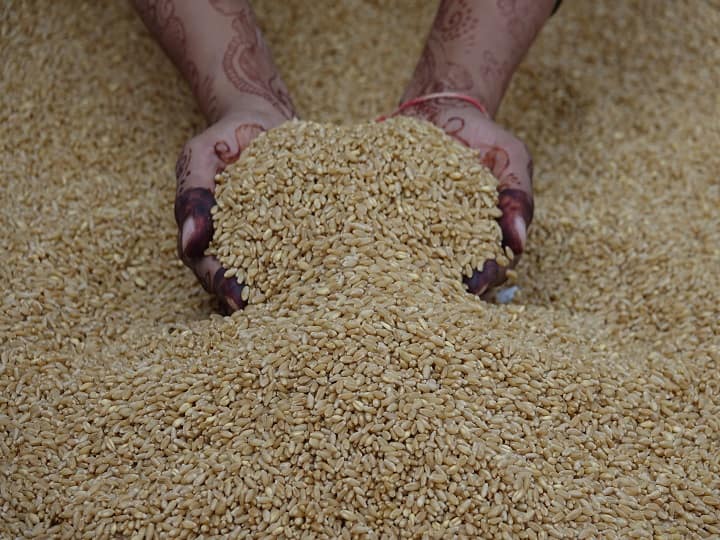 Wheat Procurement: गेहूं खरीद के बाद 72 घंटे में भेजा 933 करोड़ रुपये, खाते में पैसा देख खुश हुए किसान Wheat procurement has been started in Haryana know here Wheat Procurement: गेहूं खरीद के बाद 72 घंटे में भेजा 933 करोड़ रुपये, खाते में पैसा देख खुश हुए किसान