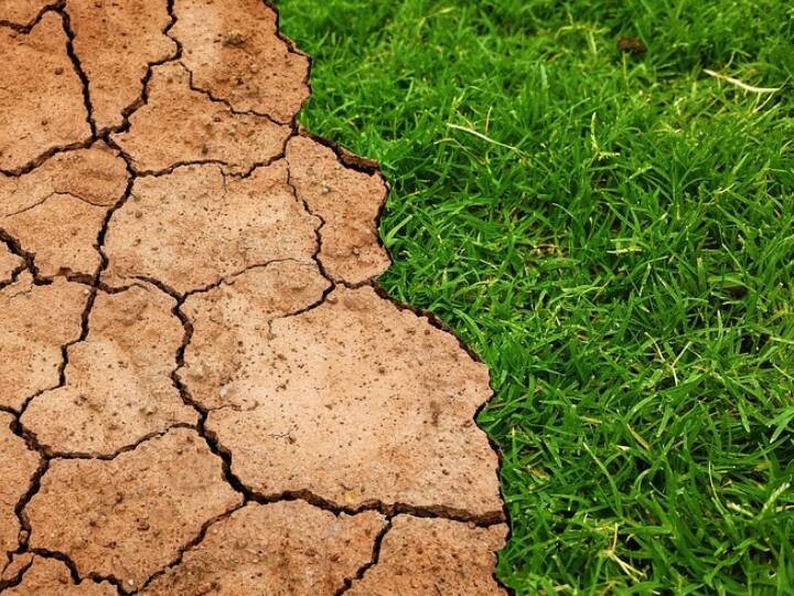 Climate change Will cause of drought due to rising heat How much is the danger in India know what the report says अभी इतनी गर्मी है, तो मई-जून में कैसे होंगे हालात? क्या देश पर मंडरा रहा सूखे का खतरा? पढ़िए क्या कहती है रिपोर्ट