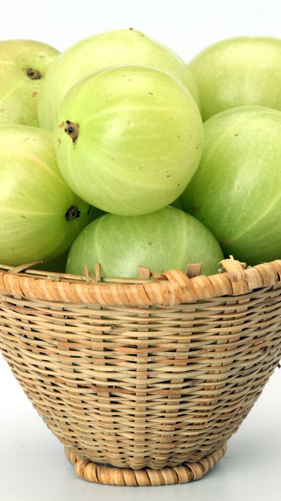 રોજ 2 આંબળાનું  સેવન કરશો તો શું થશે?