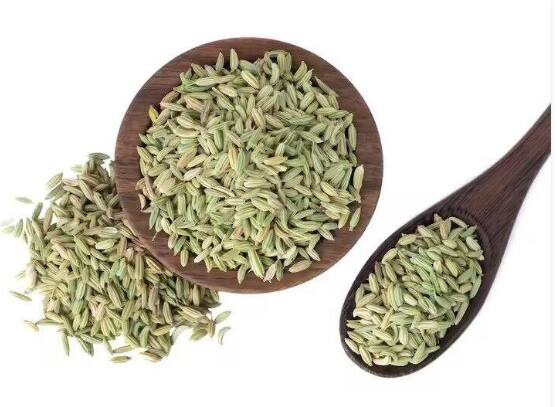 ways-to-add-fennel-seeds-in-your-diet-in-summer-to-avoid-heatstroke ਲੂ ਅਤੇ ਗਰਮੀ ਤੋਂ ਬਚਣਾ ਹੈ ਤਾਂ ਡਾਈਟ 'ਚ ਸ਼ਾਮਲ ਕਰੋ ਇਹ ਚੀਜ਼ਾਂ, 3 ਤਰੀਕਿਆਂ ਨਾਲ ਕਰੋ ਸੇਵਨ