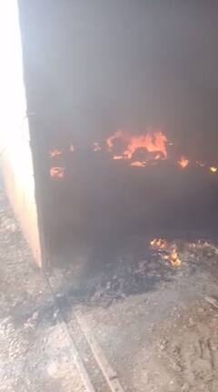 Sangli News : बांधावर लावलेली आग भडकली, शेजारील शेतातील ट्रॅक्टर, द्राक्ष, डाळिंब बाग खाक; खानापुरातील घटना