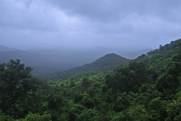 আবহাওয়া দফতরের পূর্বাভাস উত্তরের ৫ জেলা দার্জিলিং, জলপাইগুড়ি, কালিম্পং, আলিপুরদুয়ার এবং কোচবিহারে বৃষ্টি নামবে সপ্তাহ শেষে ।