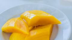 Mango Myths: আম খেলে ওজন বাড়ে কি ? আছে কি কোনও উপকারিতা ?