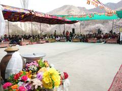 लद्दाख में खुबानी फूल महोत्सव का जलवा, सैकड़ों देशी-विदेशी पर्यटक हो रहे शामिल