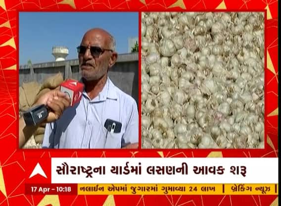 Saurashtra: રાજકોટ માર્કેટયાર્ડમાં નવા લસણની આવક શરૂ, જાણો ખેડૂતો ખુશ કે પછી આ વર્ષે પણ નિરાશ?