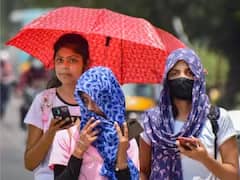 TN Weather Update: வெயிலை எதிர்கொள்ள தயாராக இருங்கள்.. தமிழ்நாட்டில் அதிகபட்ச வெப்பநிலை 3 டிகிரி செல்சியஸ் வரை அதிகரிக்கும்.. இன்றைய வானிலை நிலவரம் இதோ..