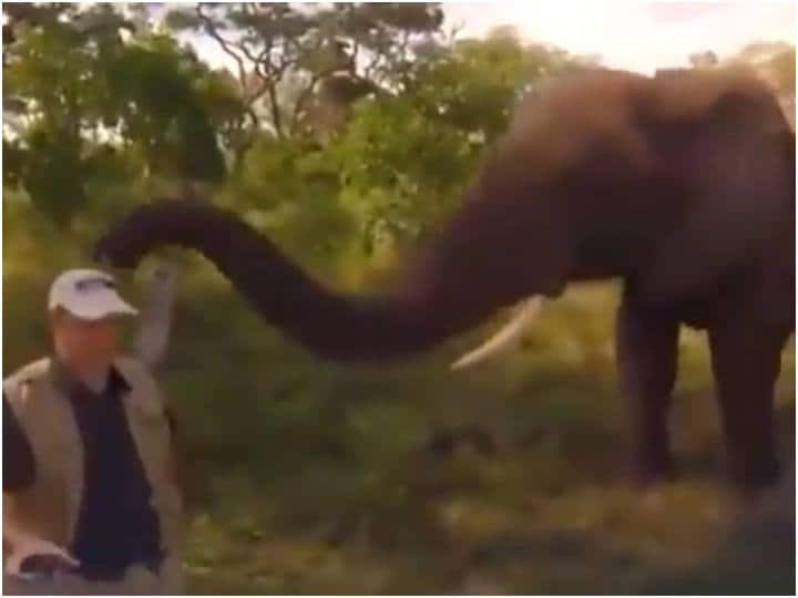 elephant playfully stealing and then returning a wildlife photographer hat in viral video फोटोग्राफर की टोपी चुराकर पहनने की कोशिश कर रहा  हाथी, फिर जो हुआ वो मजेदार है...