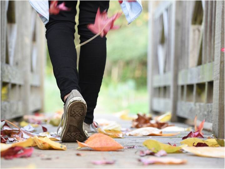 Walking Benefits For Health: শুধুই শারীরিক দিক থেকেই নয়, পরন্ত বিকেলে হাঁটলে মন ভাল হতে পারে। মানসিক চাপ দূর হতে পারে। বিশুদ্ধ বাতাস এবং প্রাকৃতিক আলো ঘুমের জন্যও উপকারী।