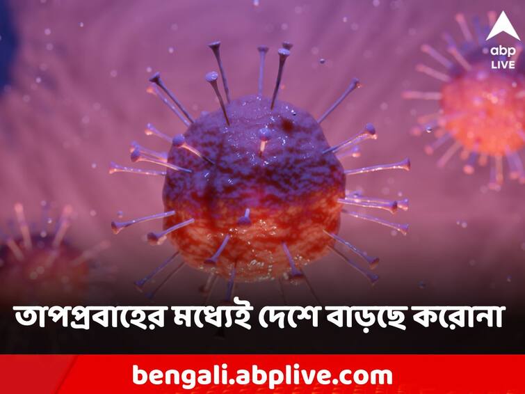 Coronavirus Cases Today: Slight Dip As Over 9000 Fresh Infections Recorded In 24 Hrs Coronavirus Cases Today: গরমেও থামছে না করোনা সংক্রমণ, একদিনে ৯ হাজারের বেশি আক্রান্ত দেশে