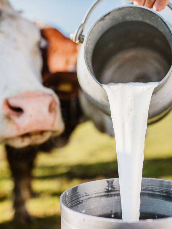 इस प्रदेश में किसानों से 100 रुपये लीटर दूध खरीदा जाएगा, ये है प्लानिंग