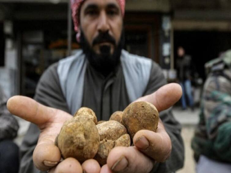31 People Collecting Truffles In Syrian Desert Killed By ISIS know more details உணவைத் தேடி அலையும் அப்பாவி மக்கள்...குறிவைத்து கொல்லும் ஐ.எஸ்.ஐ.எஸ் பயங்கரவாதிகள்...சிரியாவில் தொடரும் அட்டூழியம்..!