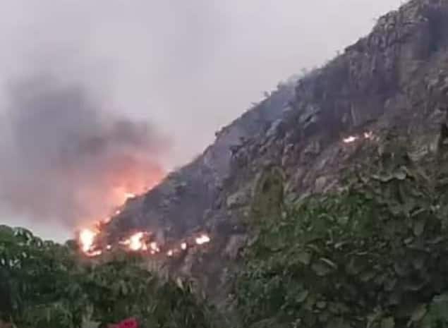Vaibhargiri mountain of Rajgir has been on fire for 12 hours, these rare herbs are in danger Rajgir Mountain Fire Break Out: રાજગીરના વૈભારગીરી પર્વતમાં છેલ્લા 12 કલાકથી લાગી આગ, આ દુર્લભ ઔષધિઓ જોખમમાં