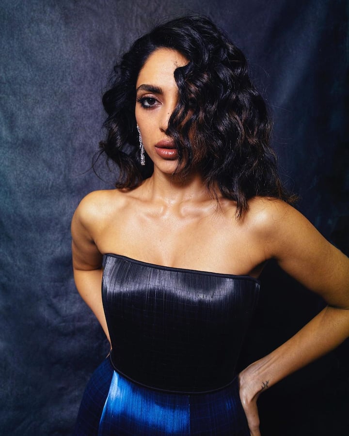 సౌత్, నార్త్ అనే తేడా లేకుండా అన్ని చోట్లా సత్తా చాటుతోంది. Photo Credit: Sobhita Dhulipala/Instagram