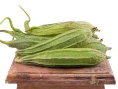 Turai Benefits: मोटापा और डायबिटीज सहित कई बीमारियों से निजात दिला सकती है 'तोरई', जानें इसके 4 फायदे