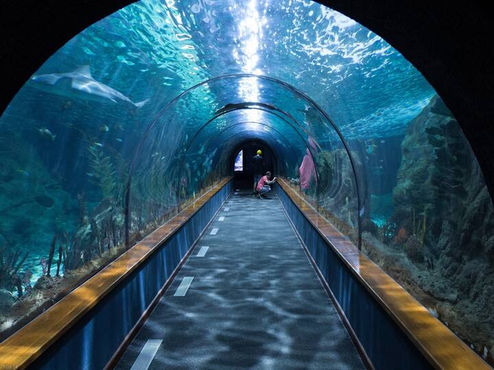 Hyderabad India’s largest aquarium aviary to come up at kothwalguda Eco Park, Minister ktr tweet Aquarium In Hyderabad : దేశంలోనే అతిపెద్ద అక్వేరియం హైదరాబాద్ లో, గుడ్ న్యూస్ చెప్పిన మంత్రి కేటీఆర్