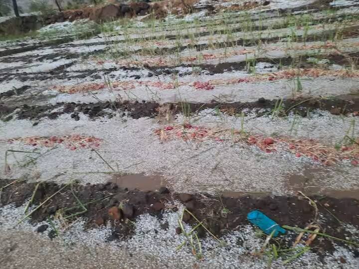 maharashtra News Beed News  More than 1000 hectare area in Ashti taluka of Beed has been hit by hailstorm Beed : बीडच्या आष्टी तालुक्यात एक हजार हेक्टरपेक्षा अधिक क्षेत्राला गारपीटीचा फटका