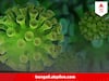 Coronavirus : XBB.1.16 ভ্যারিয়েন্ট কি করোনার আগের রূপগুলির মতোই ভয়ঙ্কর ? কী সাবধানতা নিতে হবে?